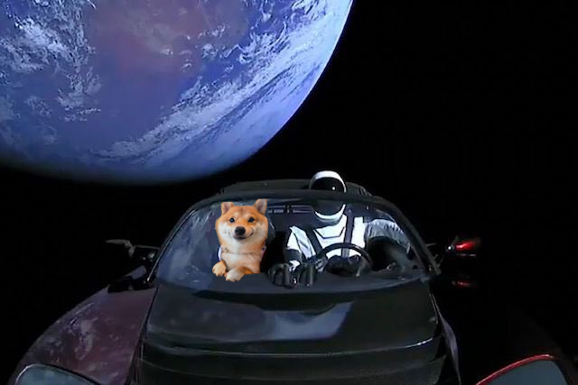 Tesla e Dogecoin