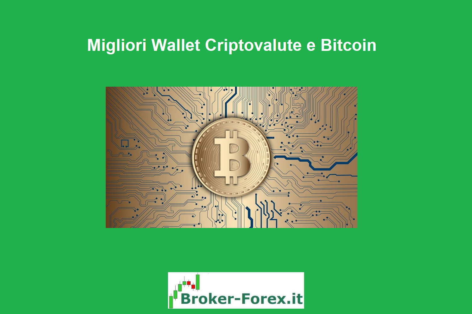 Wallet Criptovalute e Bitcoin