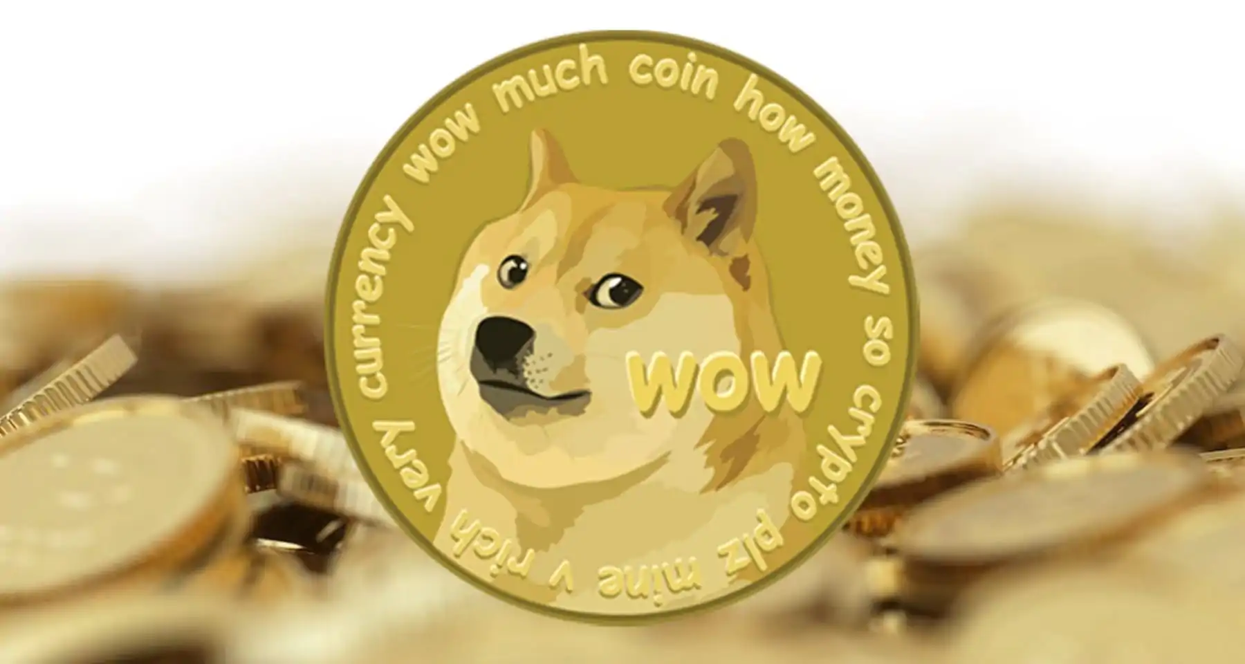 masterizzazione shiba inu