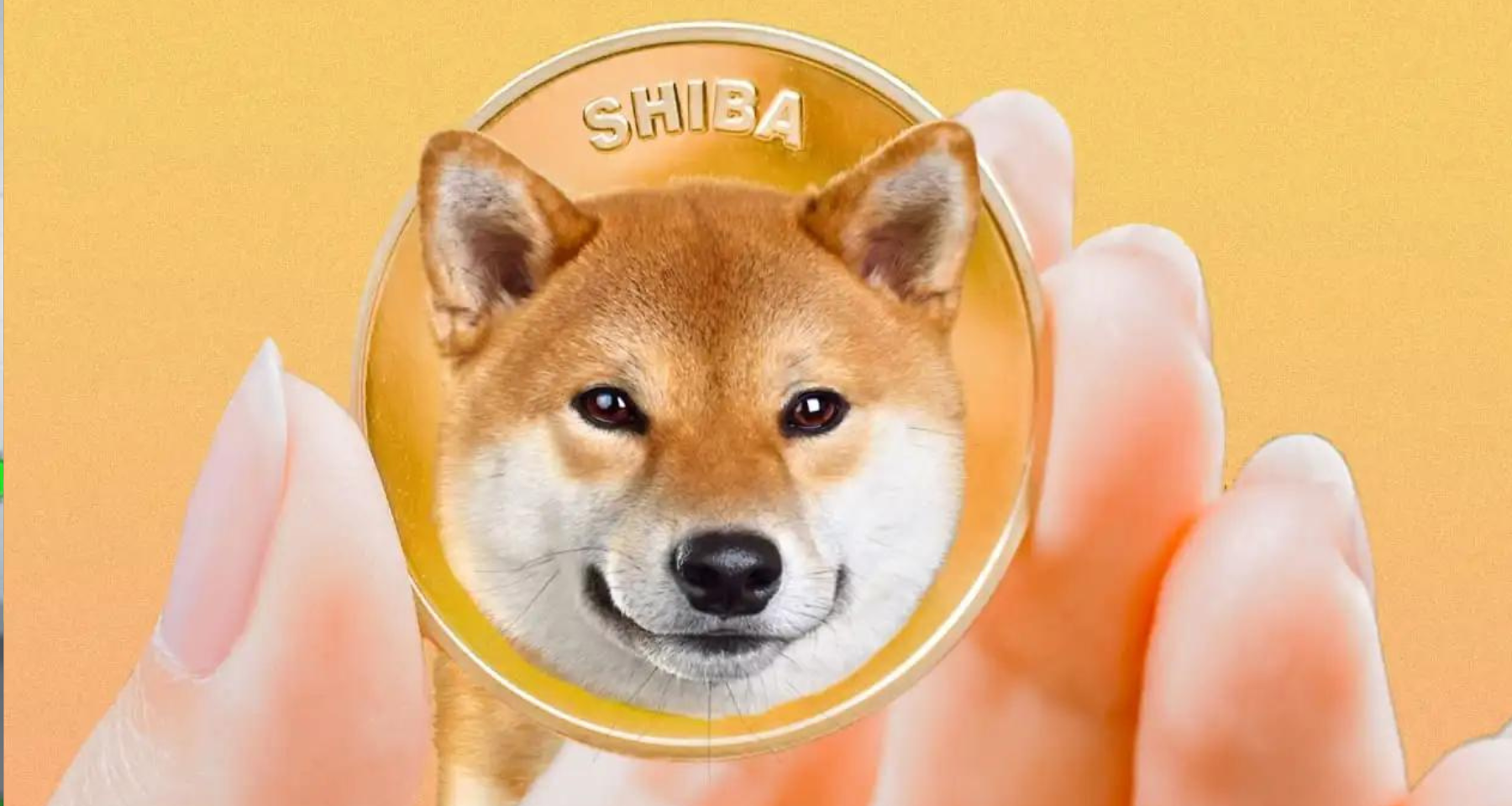 Shiba Inu (SHIB)