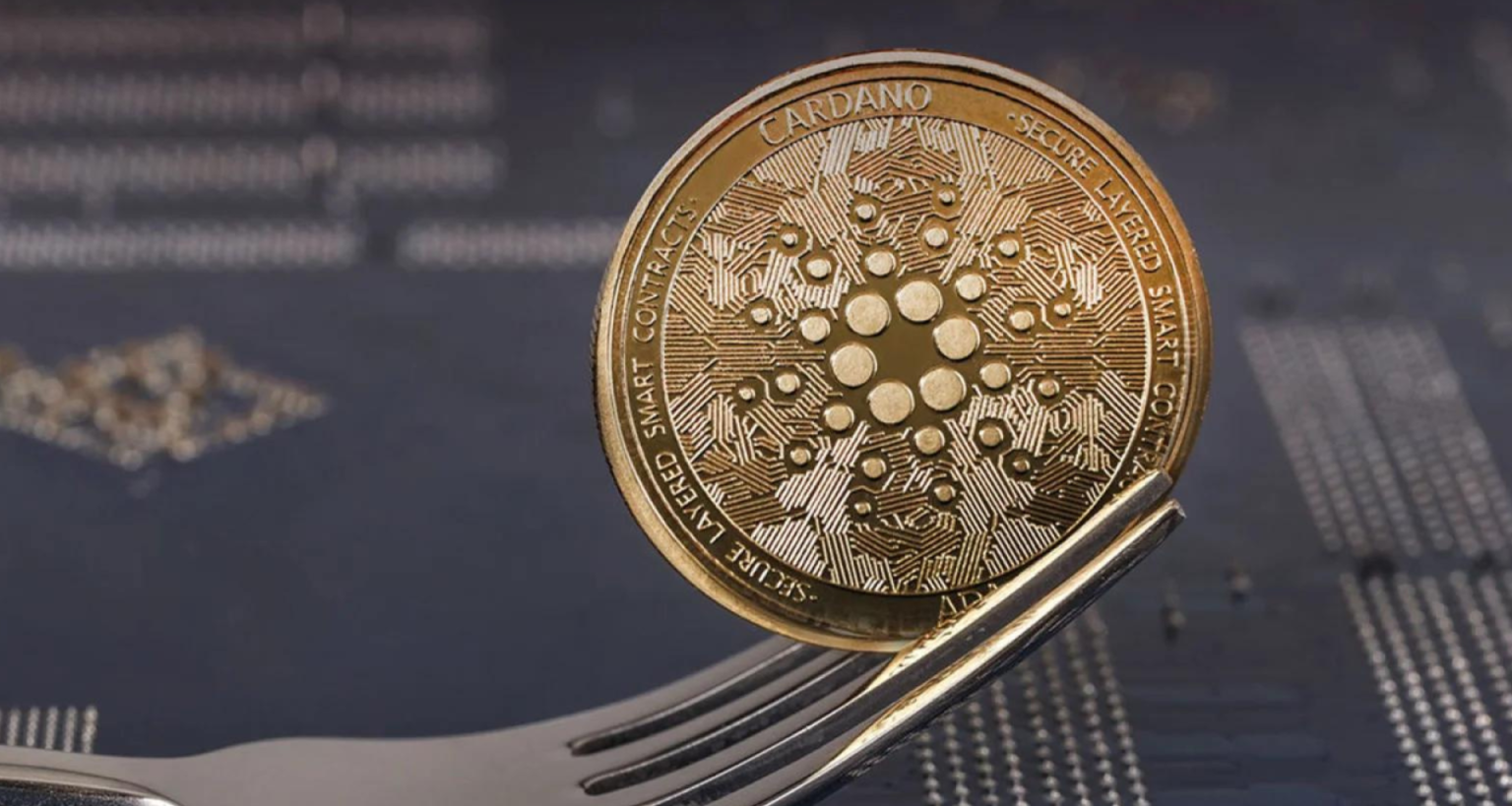 Cardano (ADA), Toncoin (TON), Raboo (RABT)