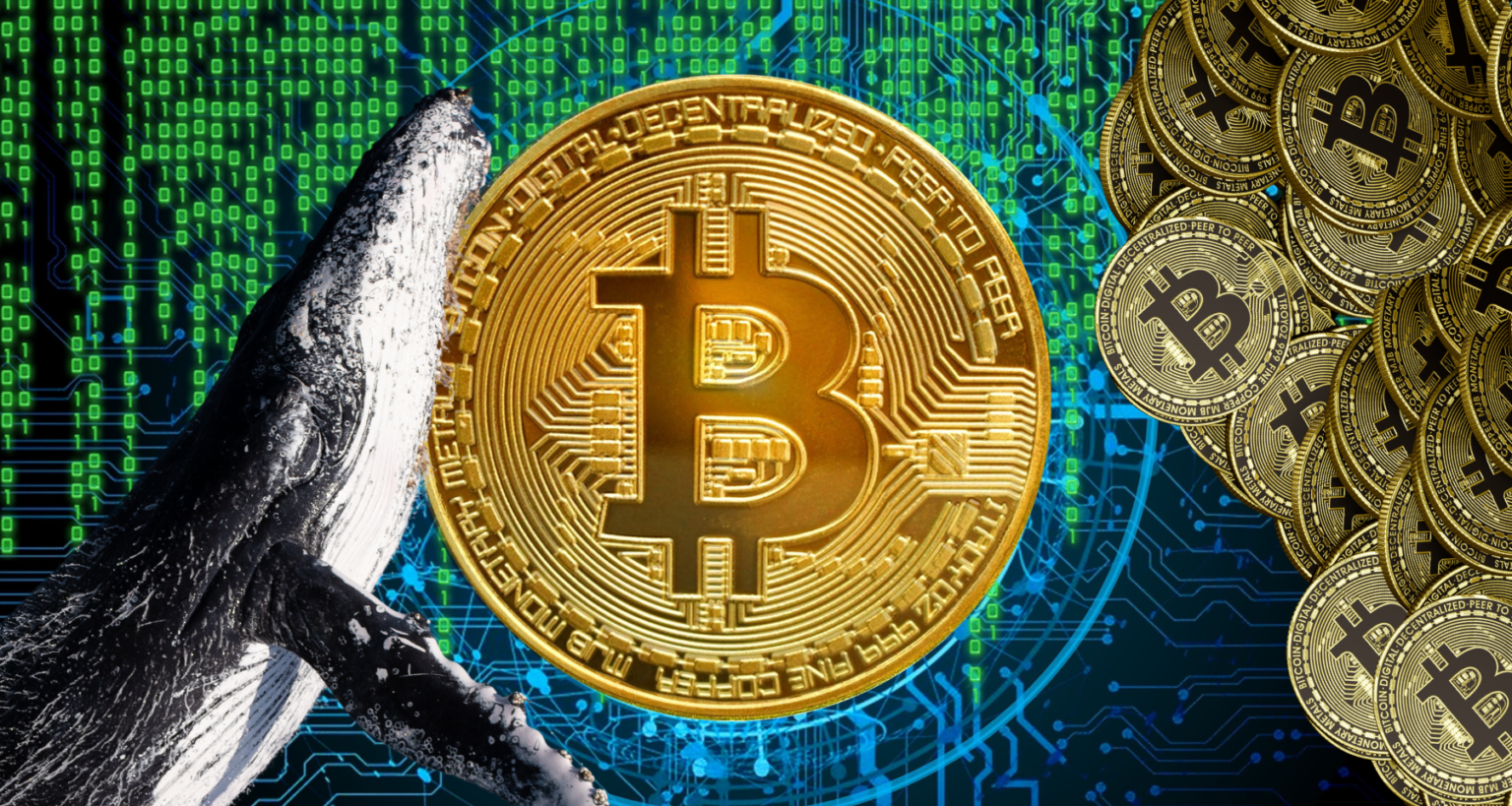 Bitcoin torna a crescere: prospettive esaltanti per il 2024